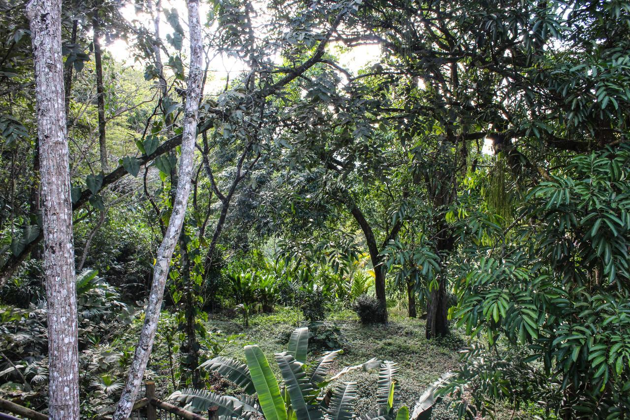 Rio Escondido Hotell San Jerónimo Eksteriør bilde